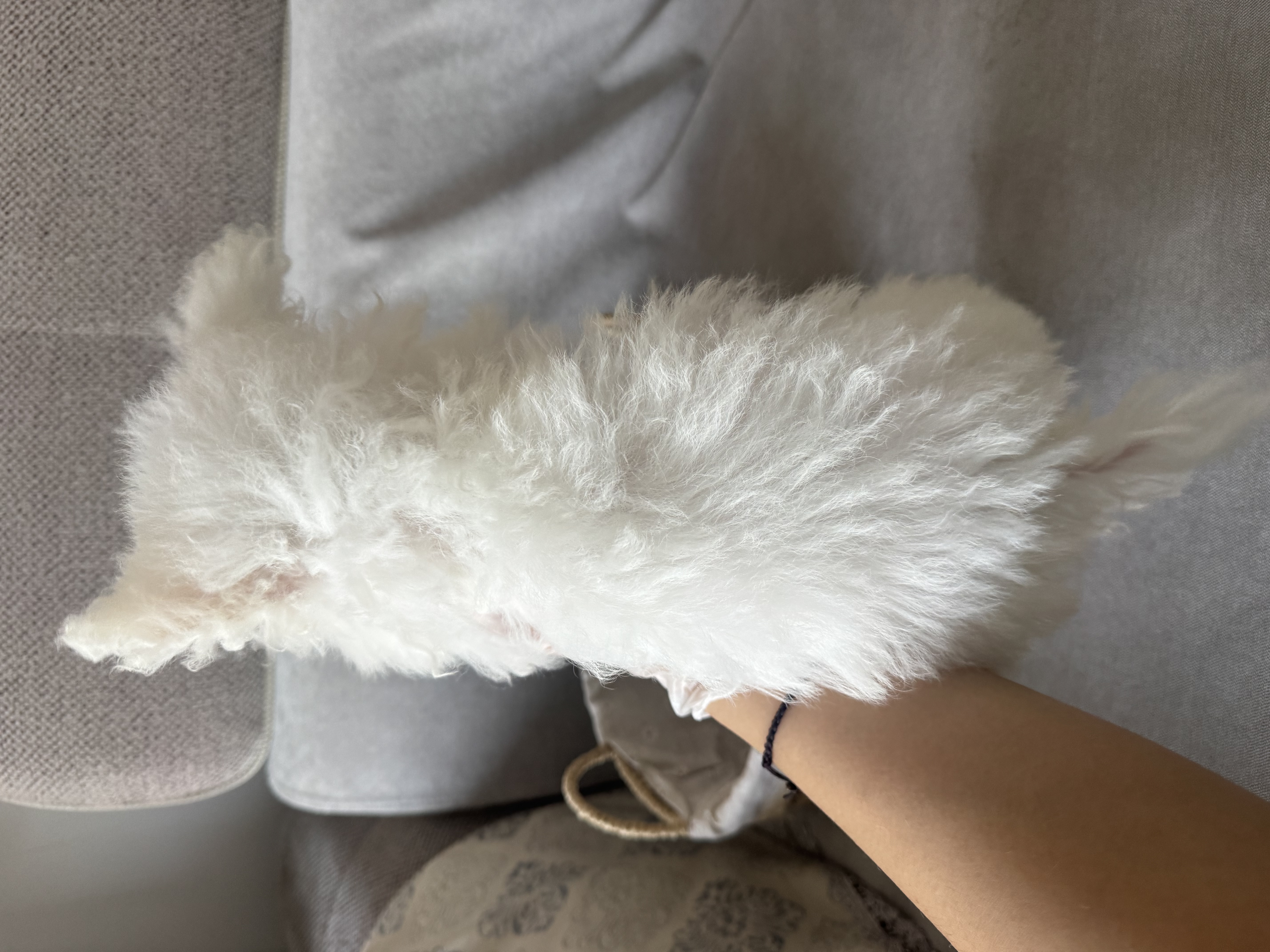 韩版小体比熊